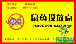 老鼠入室如何消滅？滅鼠公司專業分析